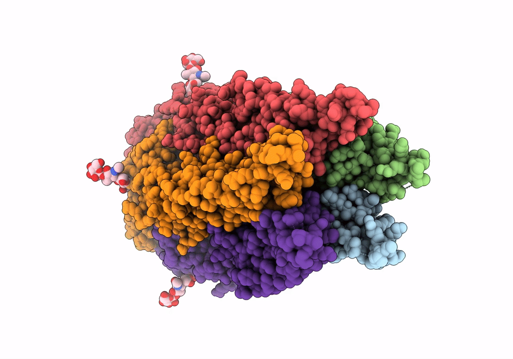 6PLO image