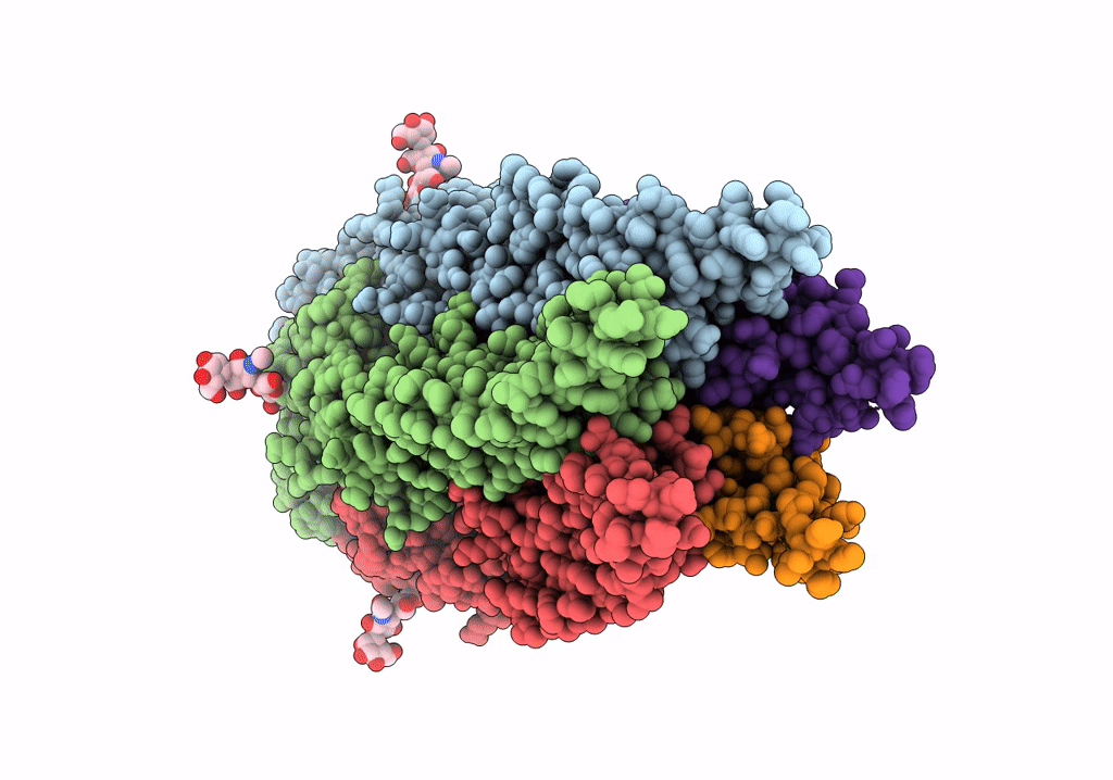 6PLP image