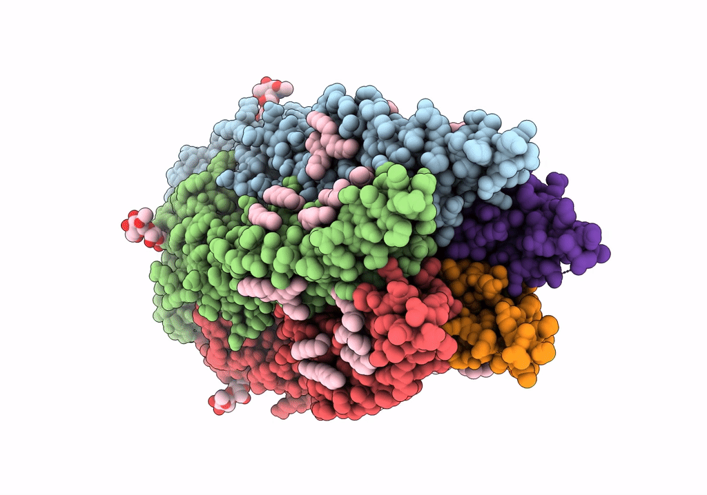 6PLR image