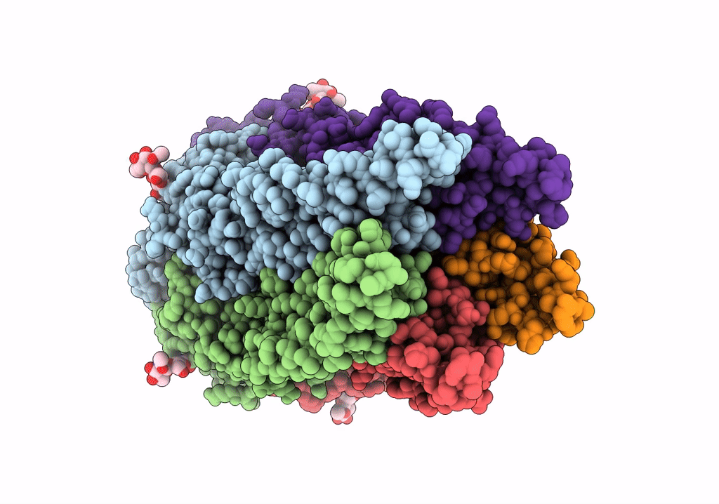 6PLT image