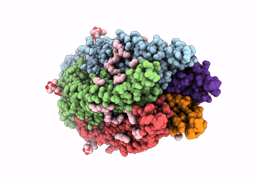 6PLU image