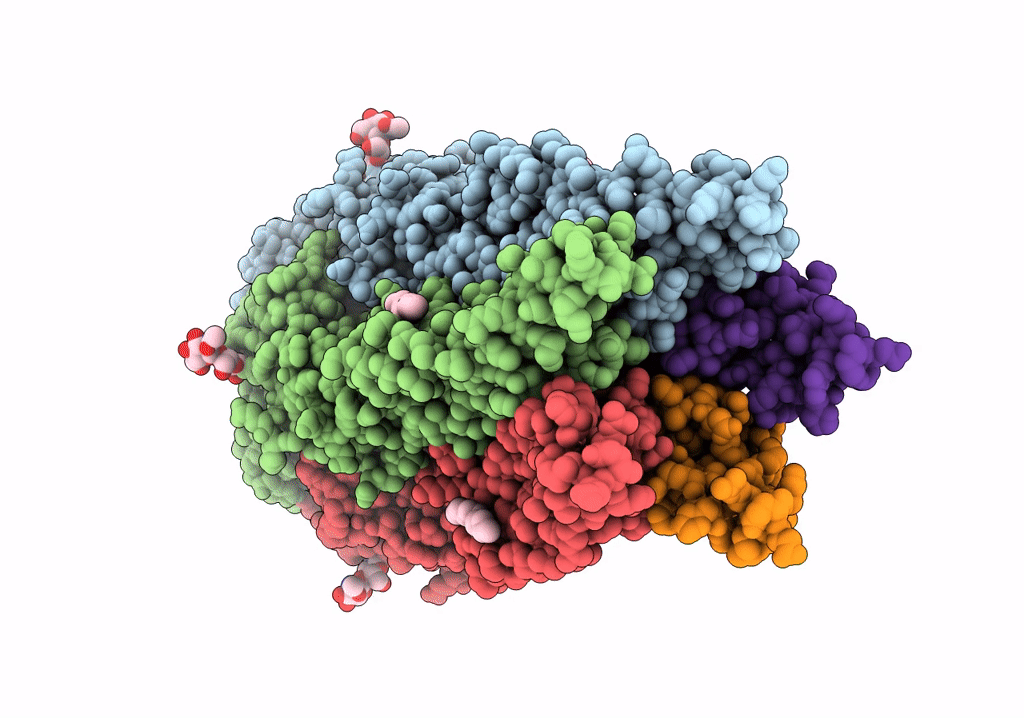 6PLV image