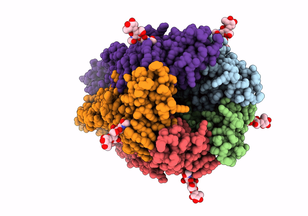 6PLW image