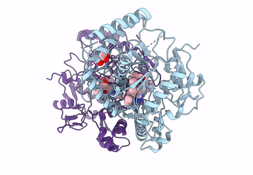 6PNA image