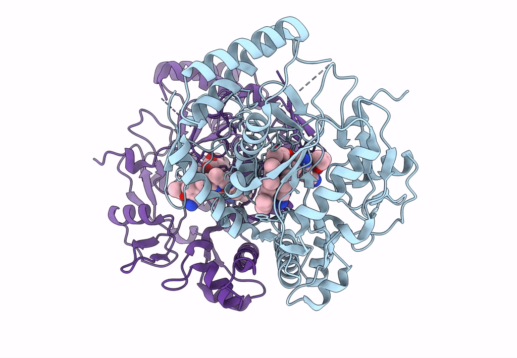 6PNH image
