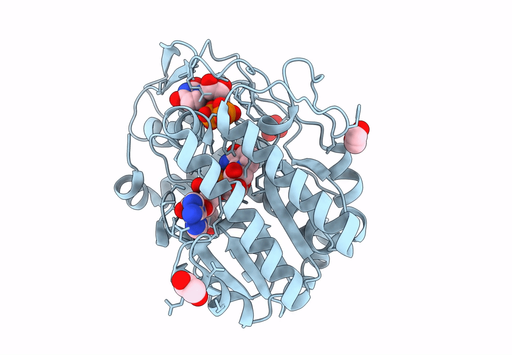 6PNL image