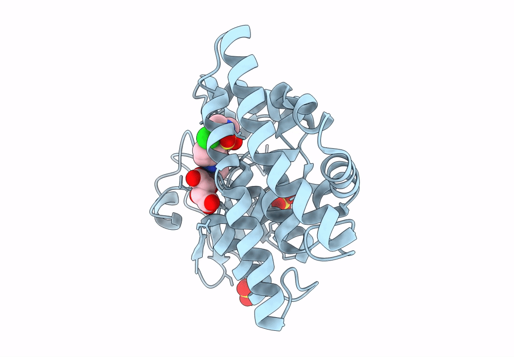 6PNN image
