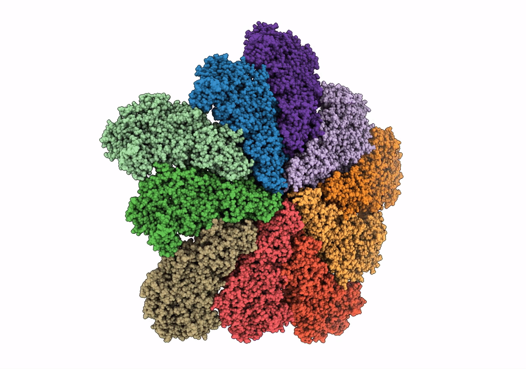6PNS image