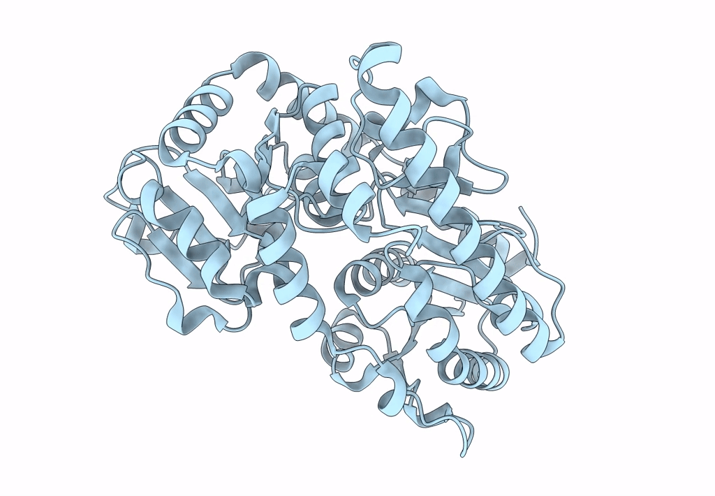6PNT image