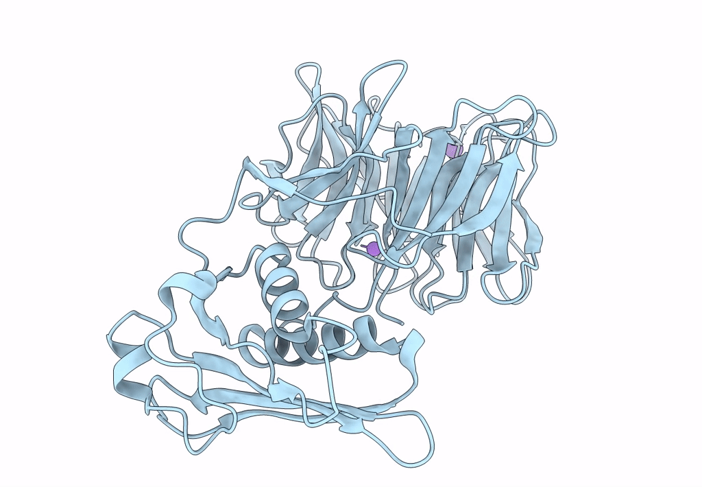 6PNV image