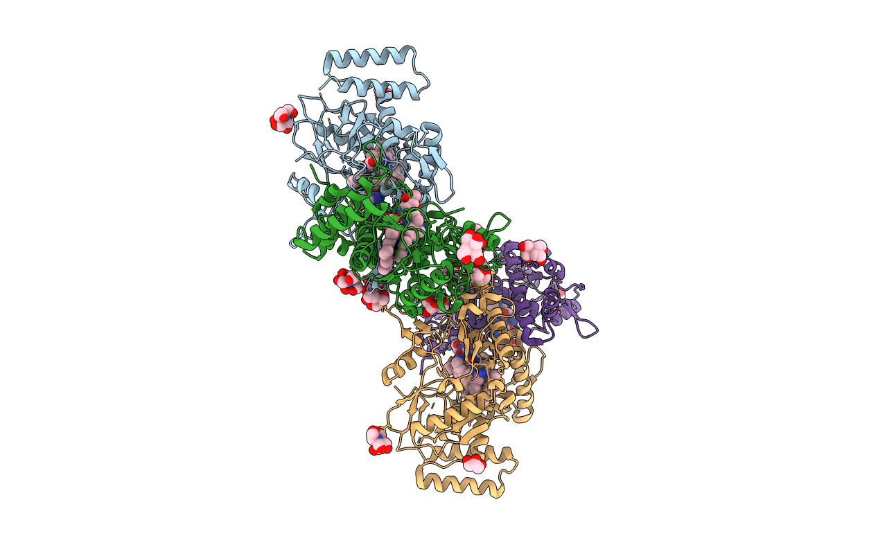 6POX image