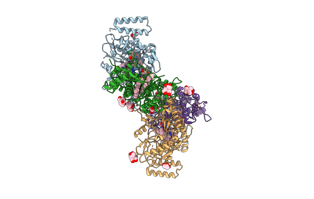 6PP4 image