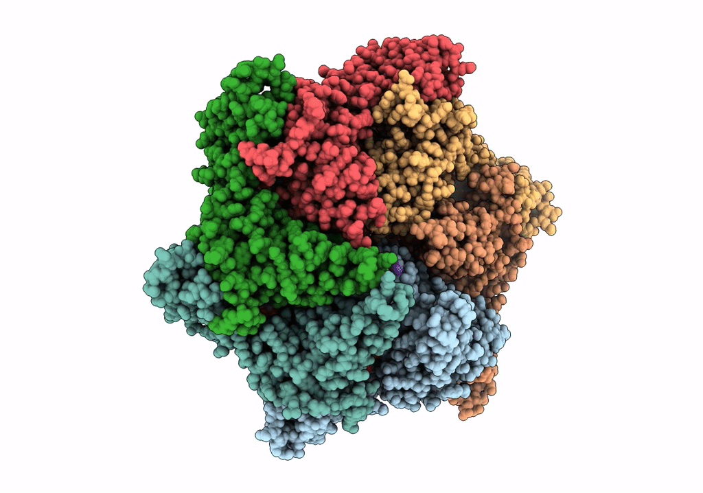 6PP5 image