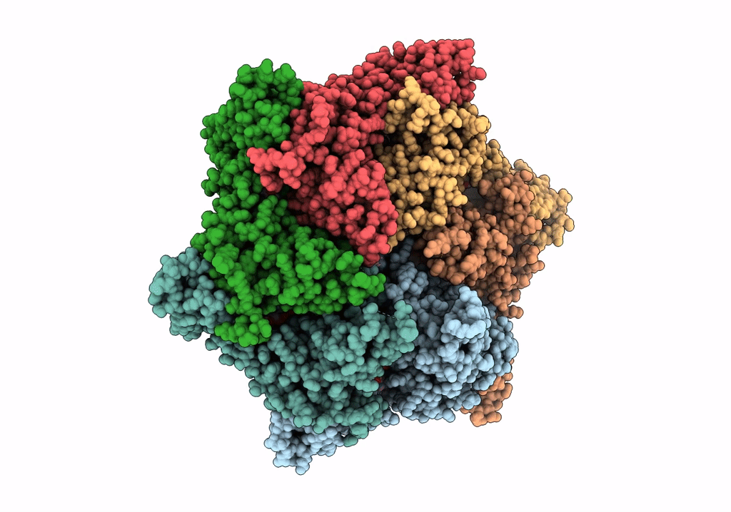 6PP6 image