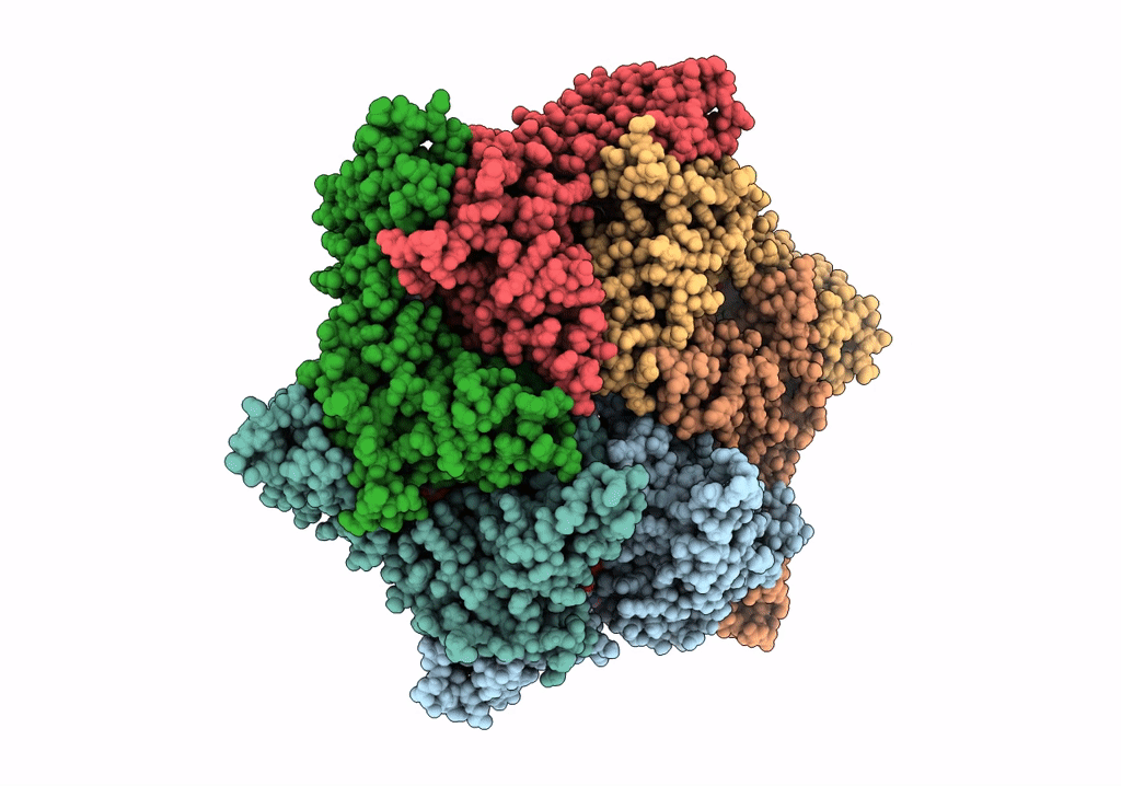 6PP8 image