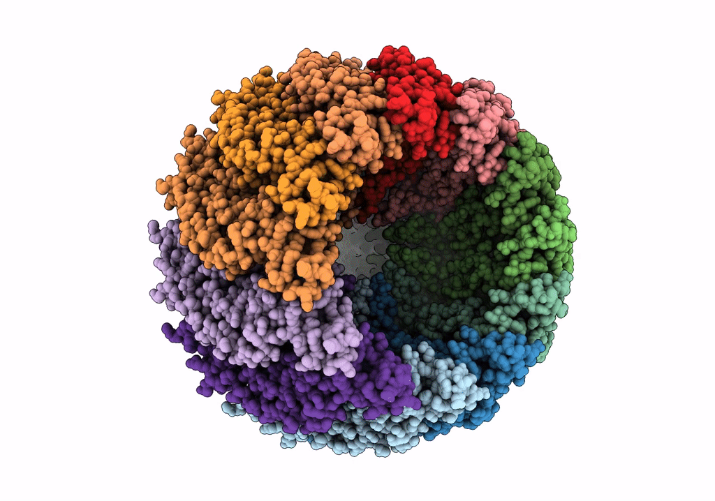 6PPI image