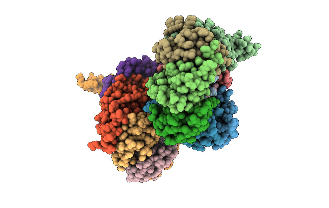 6PPN image