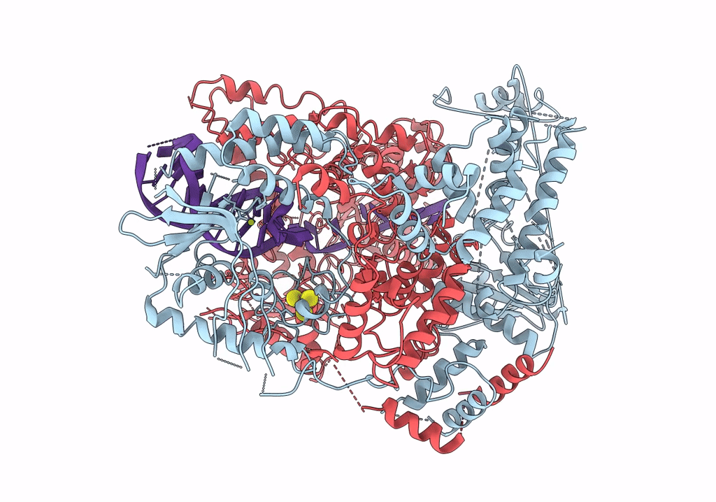 6PPU image