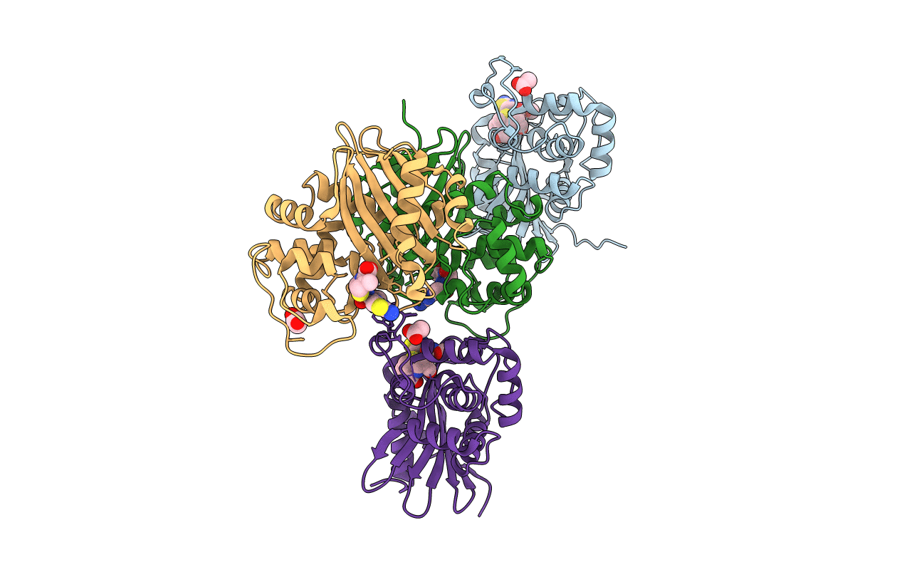 6PQI image