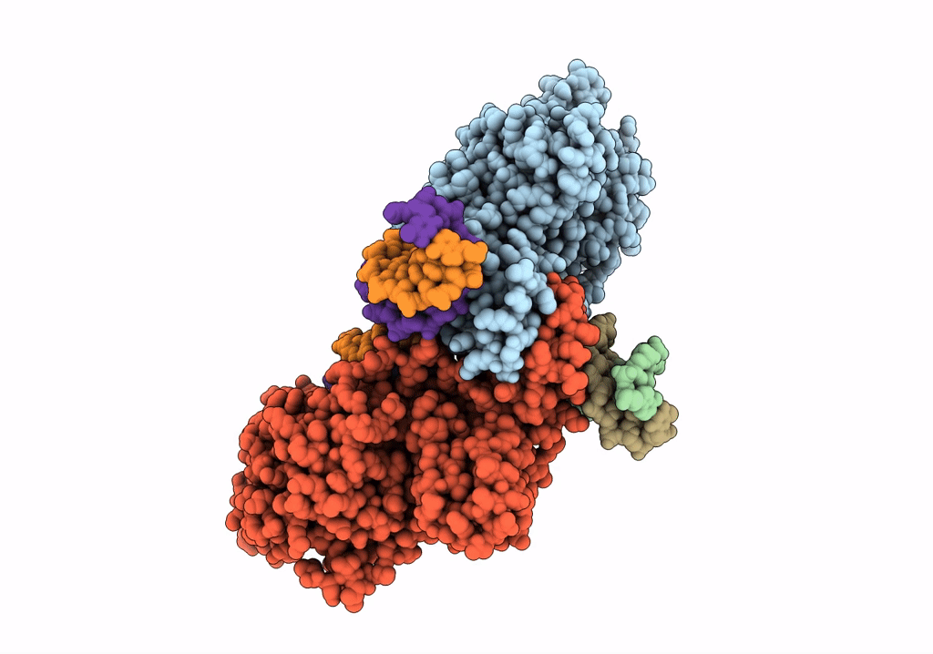 6PQR image