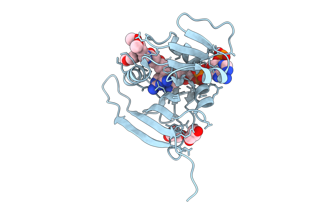 6PRD image