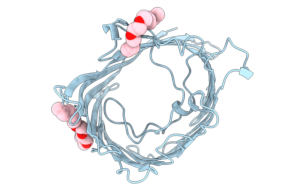 6PRN image