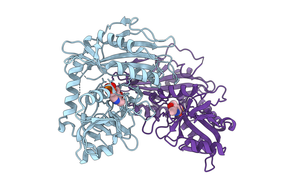 6PRX image