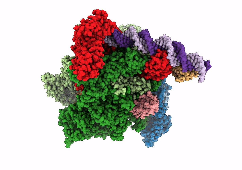 6PSR image