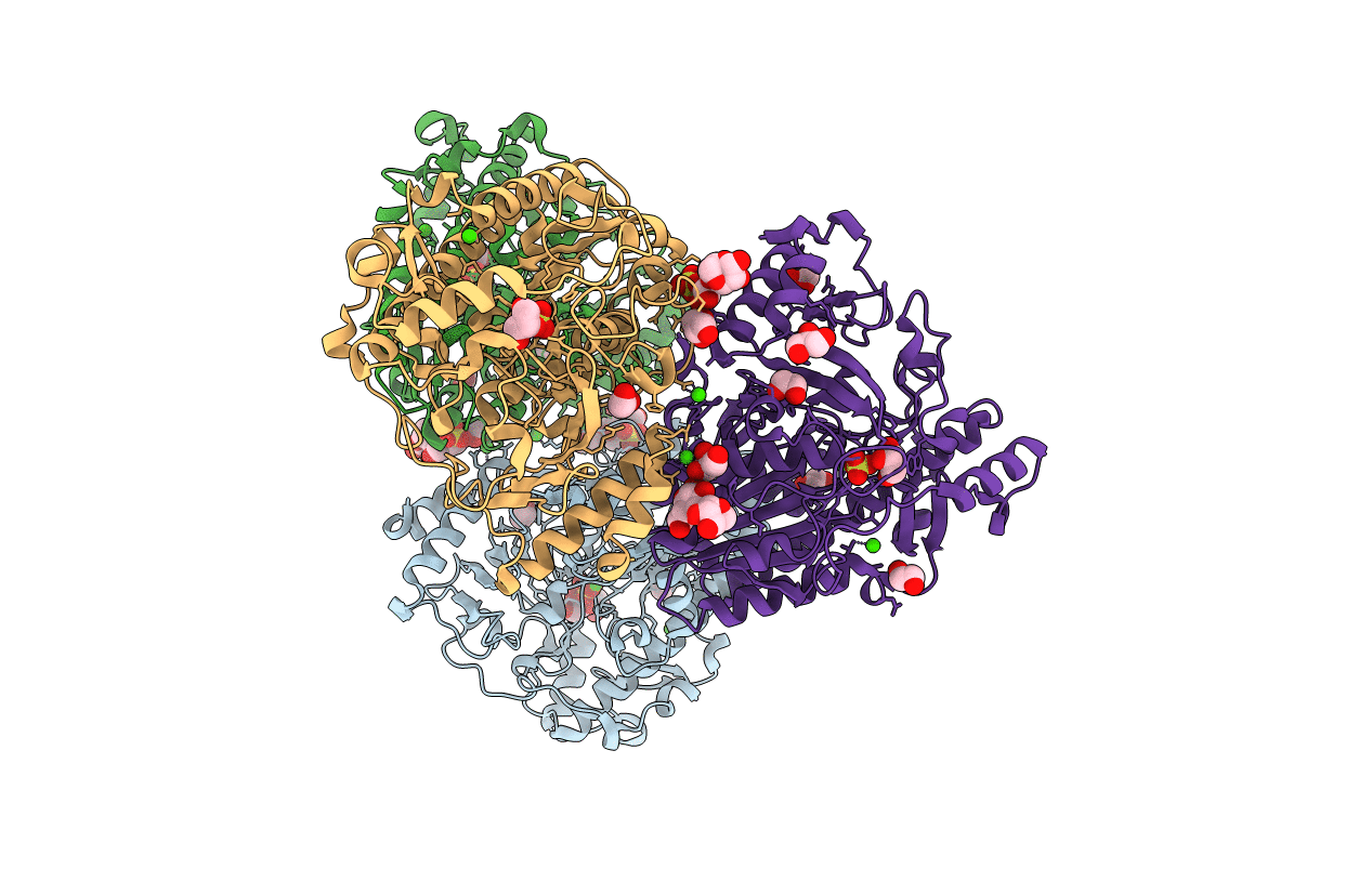 6PTK image