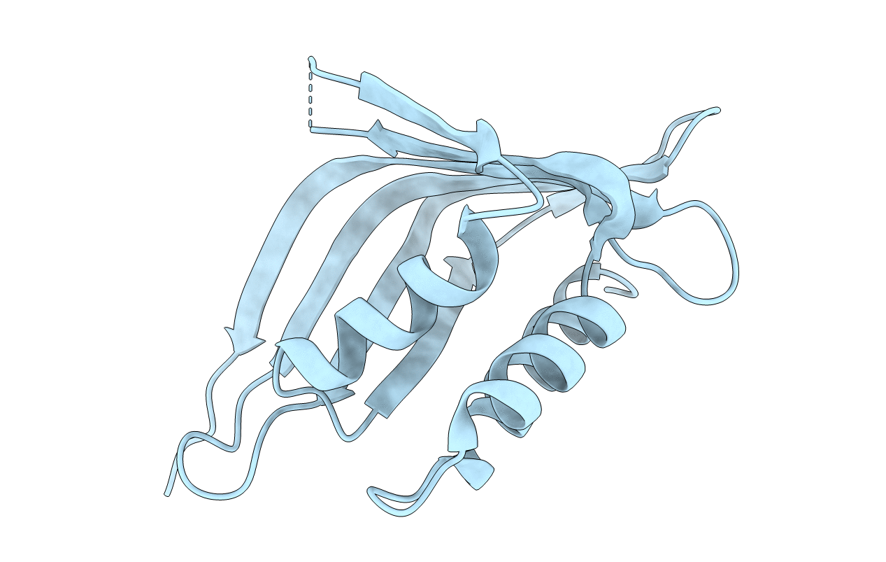 6PTL image