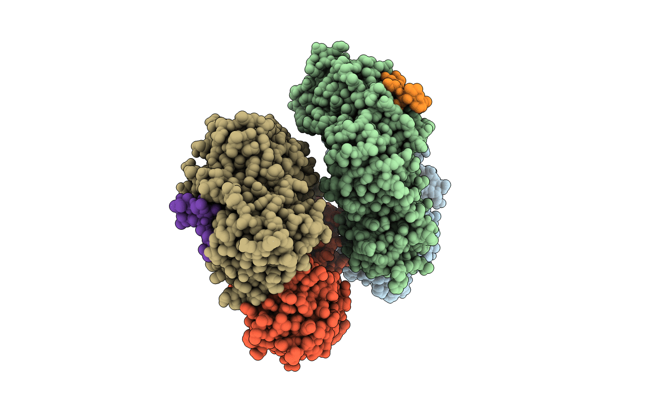 6PTV image