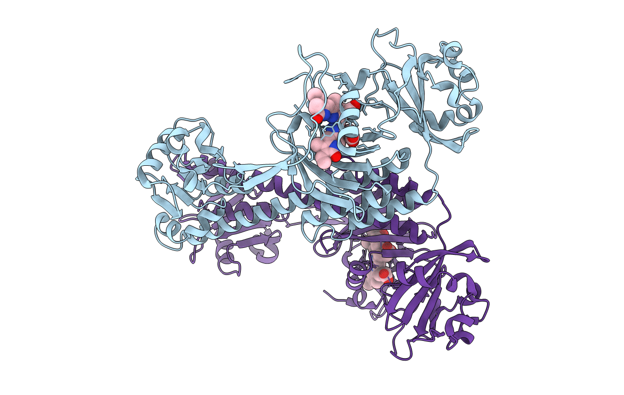 6PU2 image