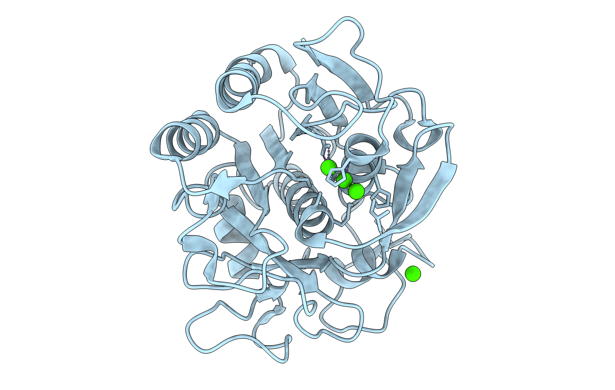 6PU4 image