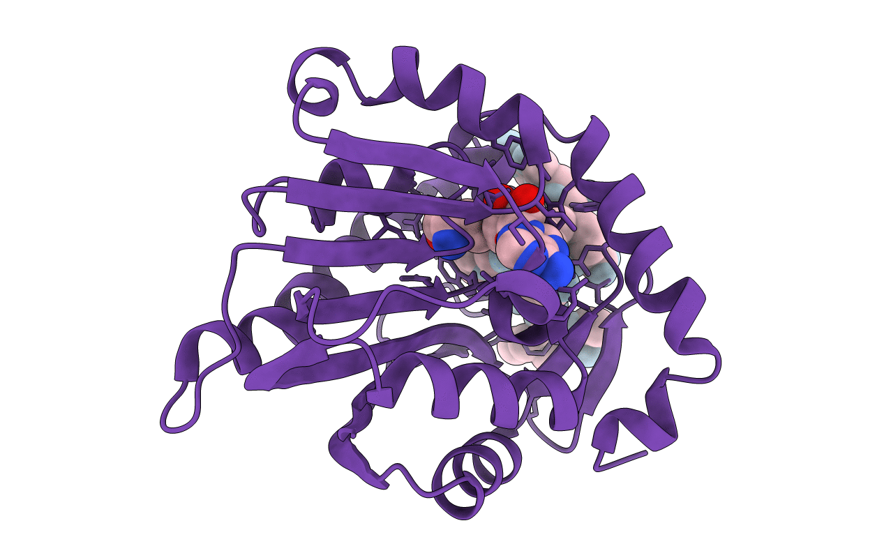 6PVB image