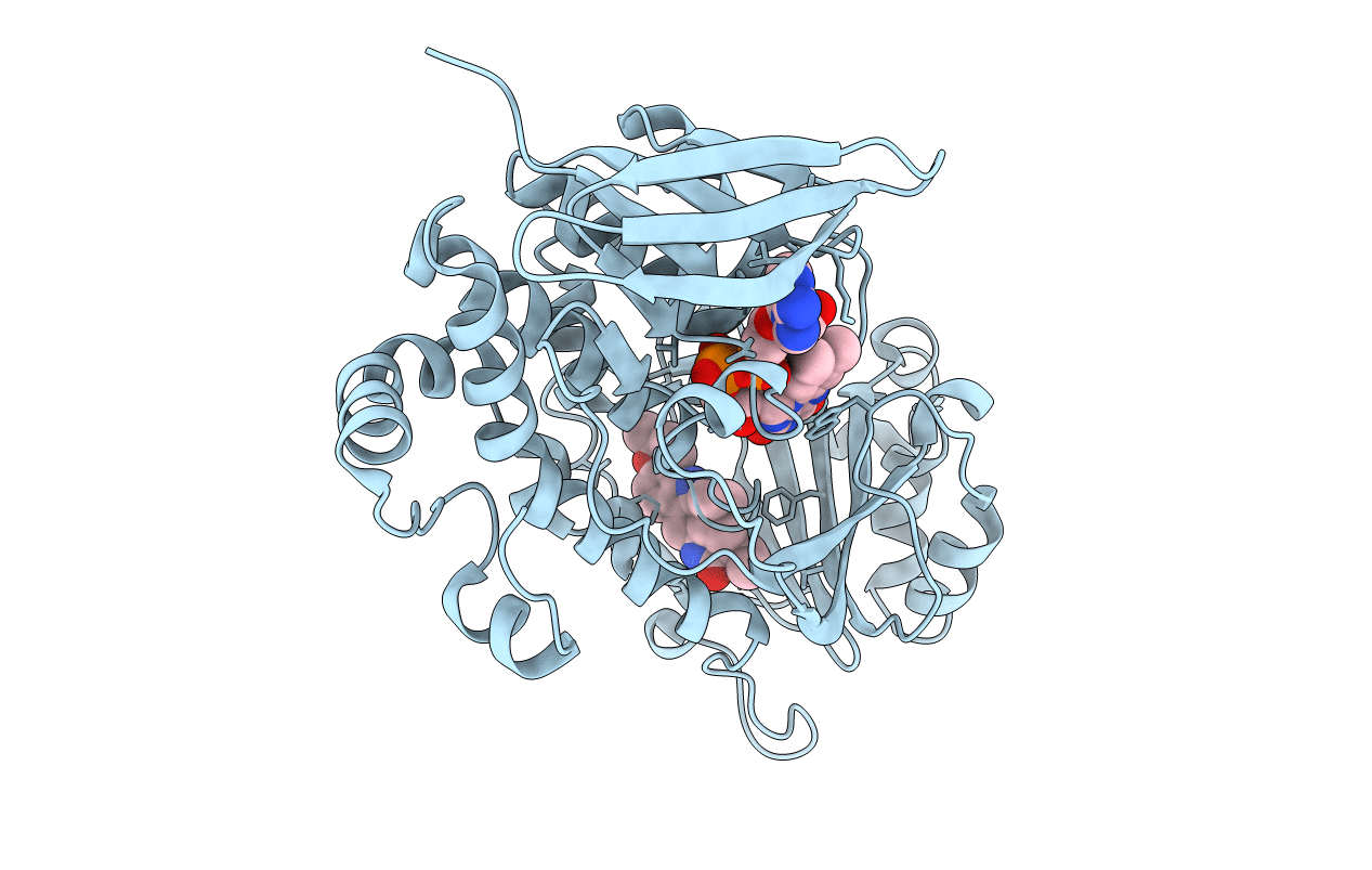 6PVH image
