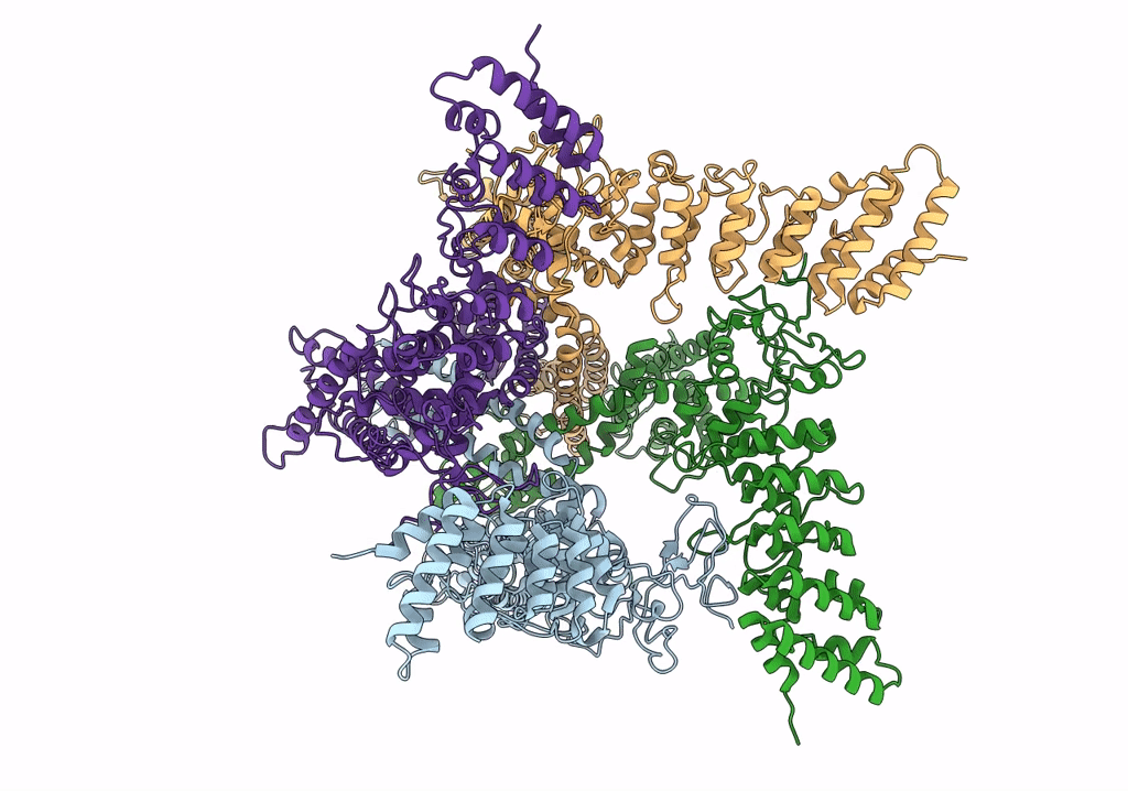 6PVO image