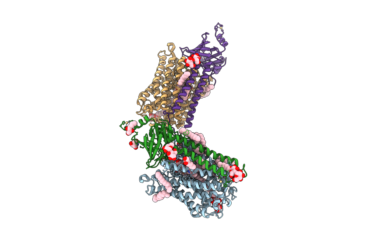 6PW1 image