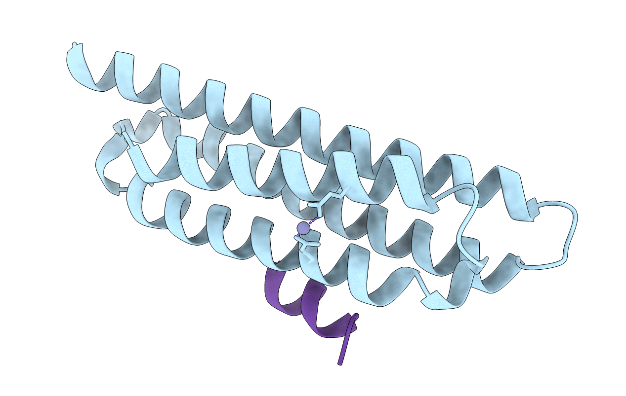6PW8 image