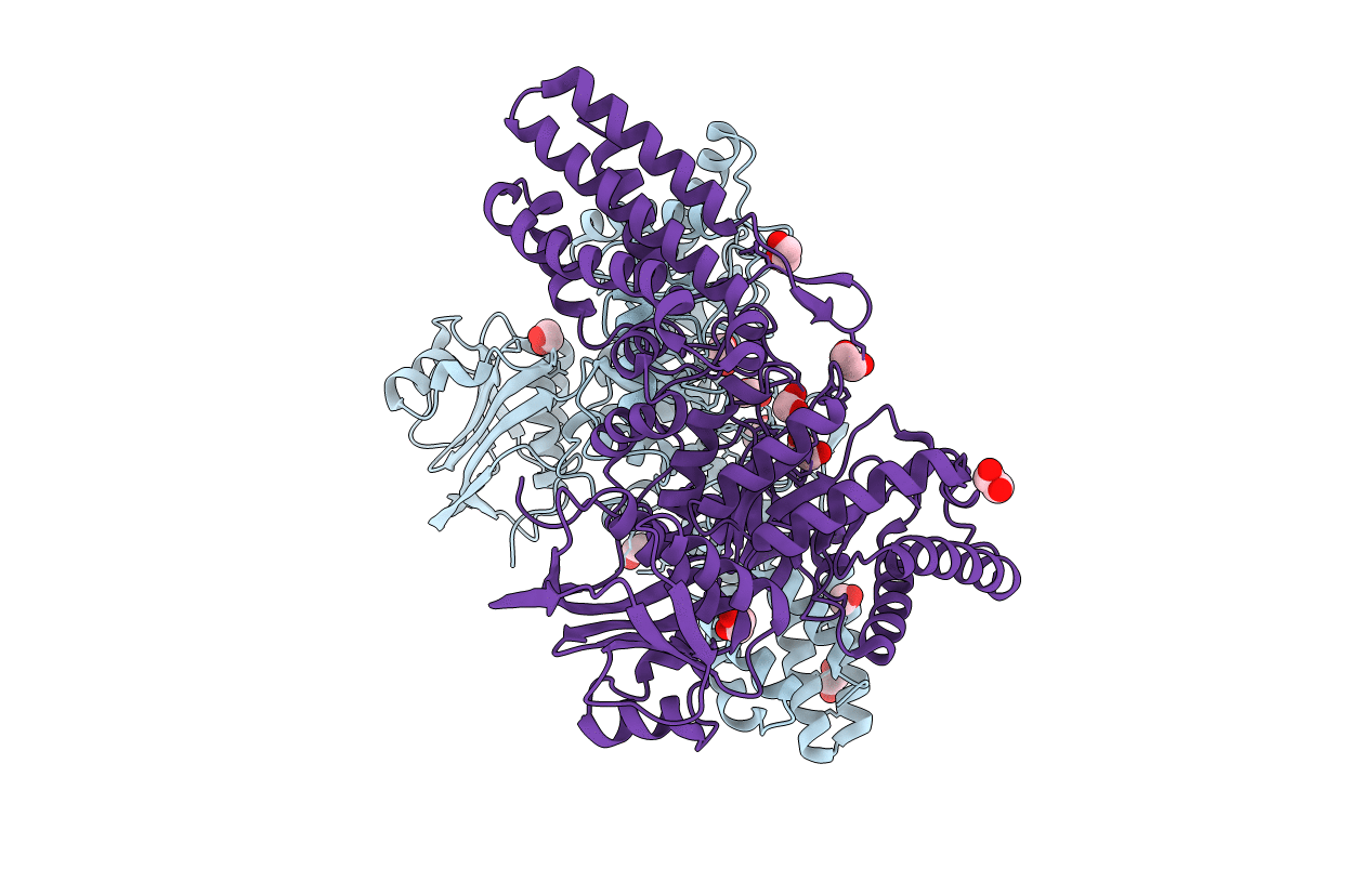 6PWI image