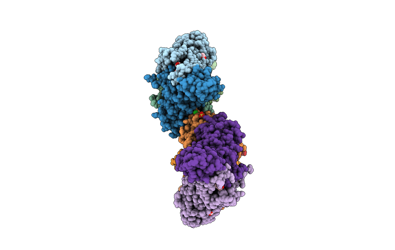 6PXA image