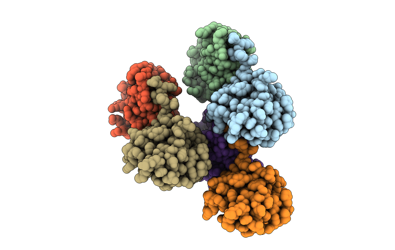 6PXB image