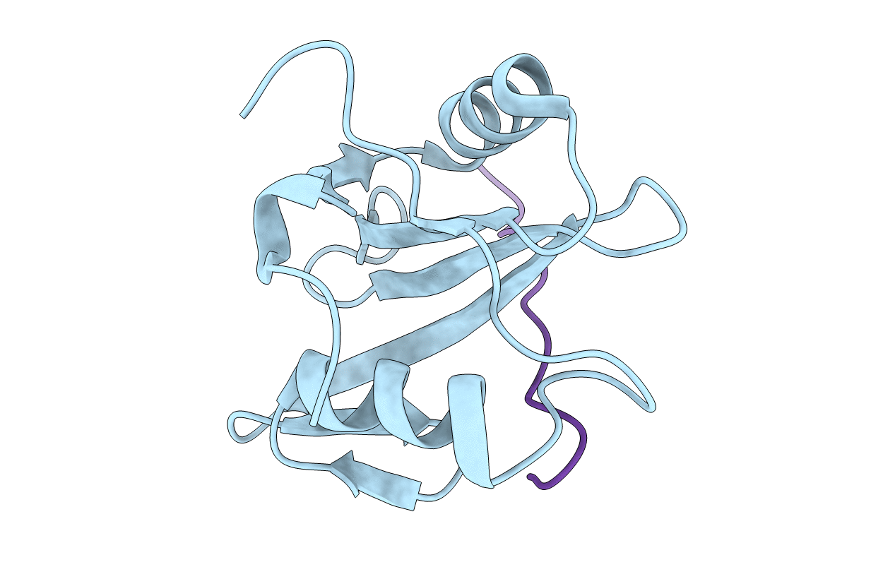 6PXC image