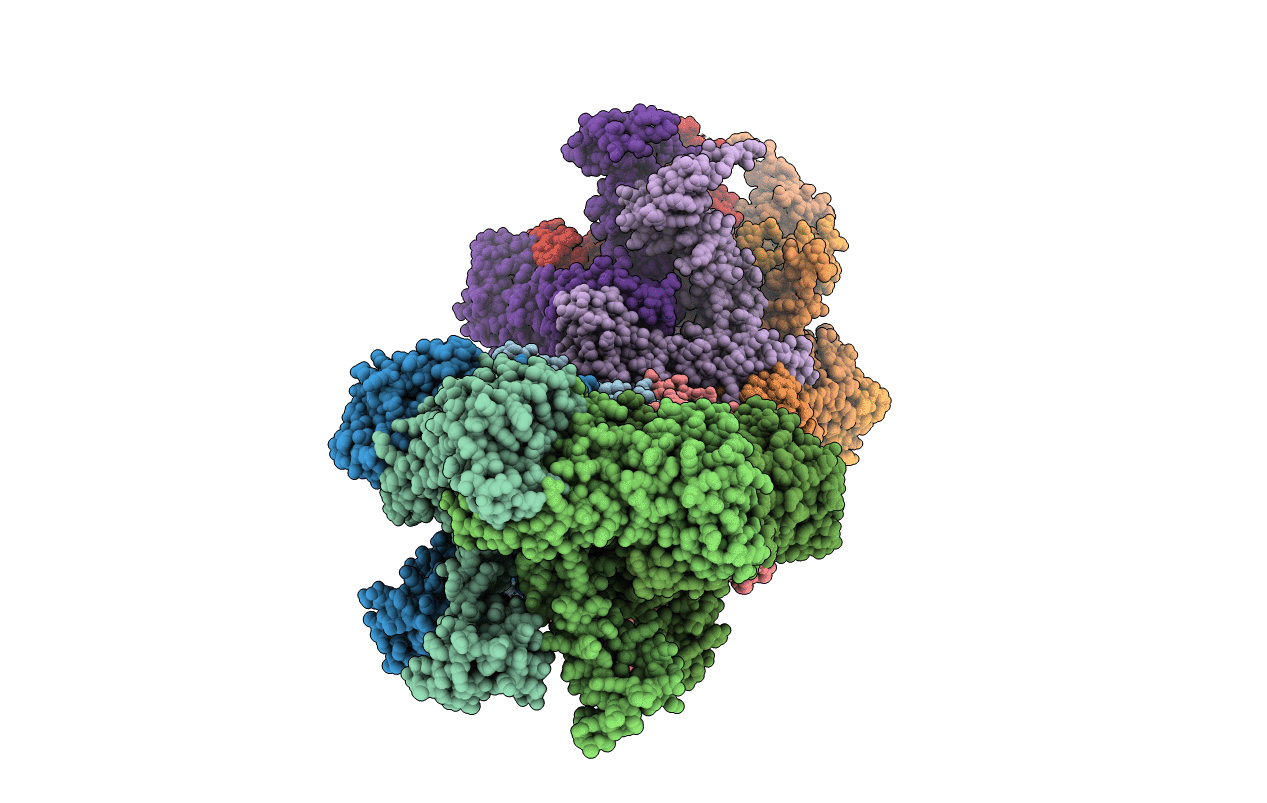 6PXL image