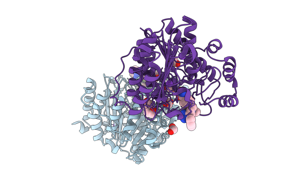 6PYE image