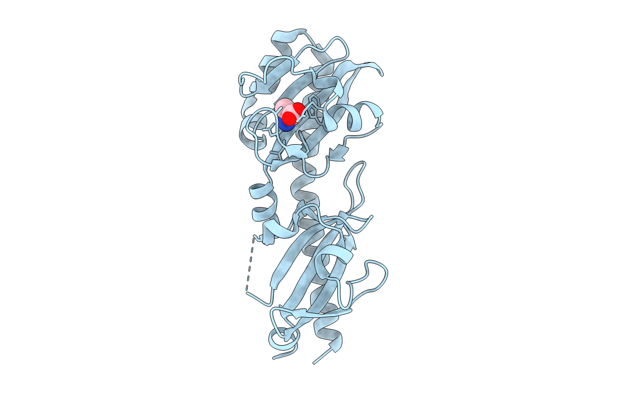 6PYI image