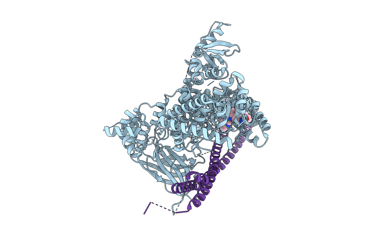 6PYR image
