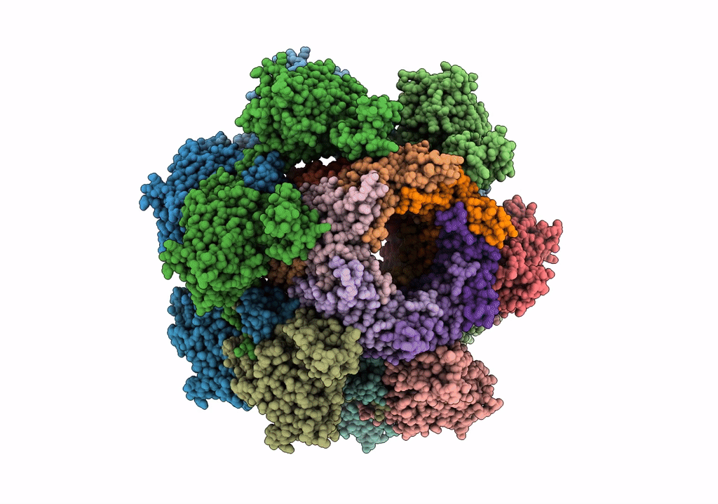 6PYT image