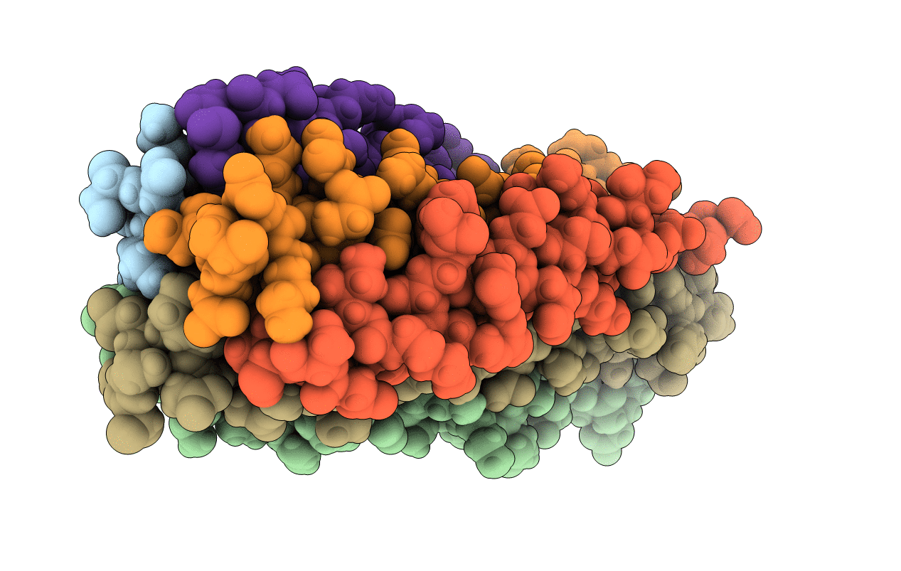 6PZ6 image