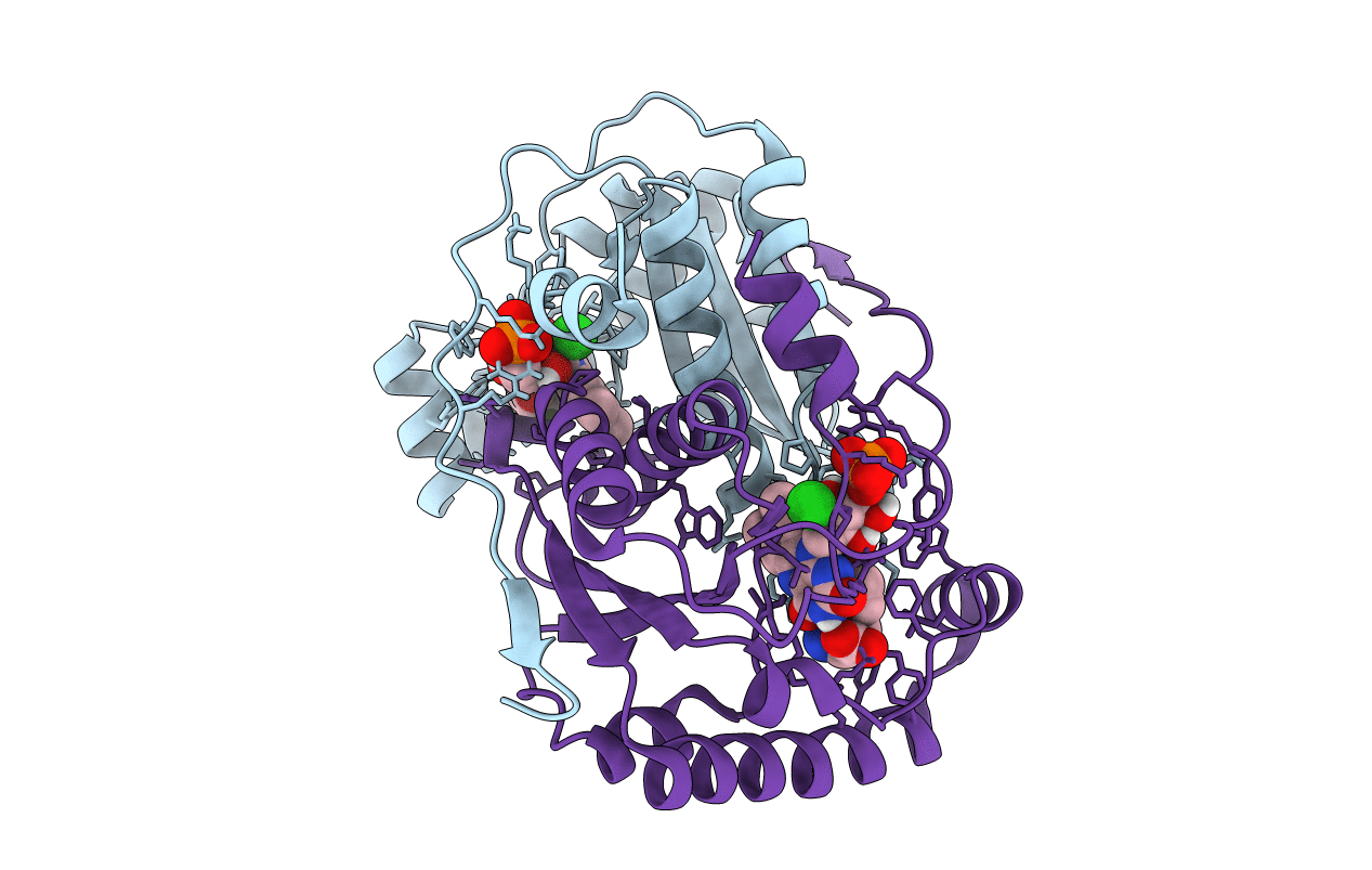 6Q1B image
