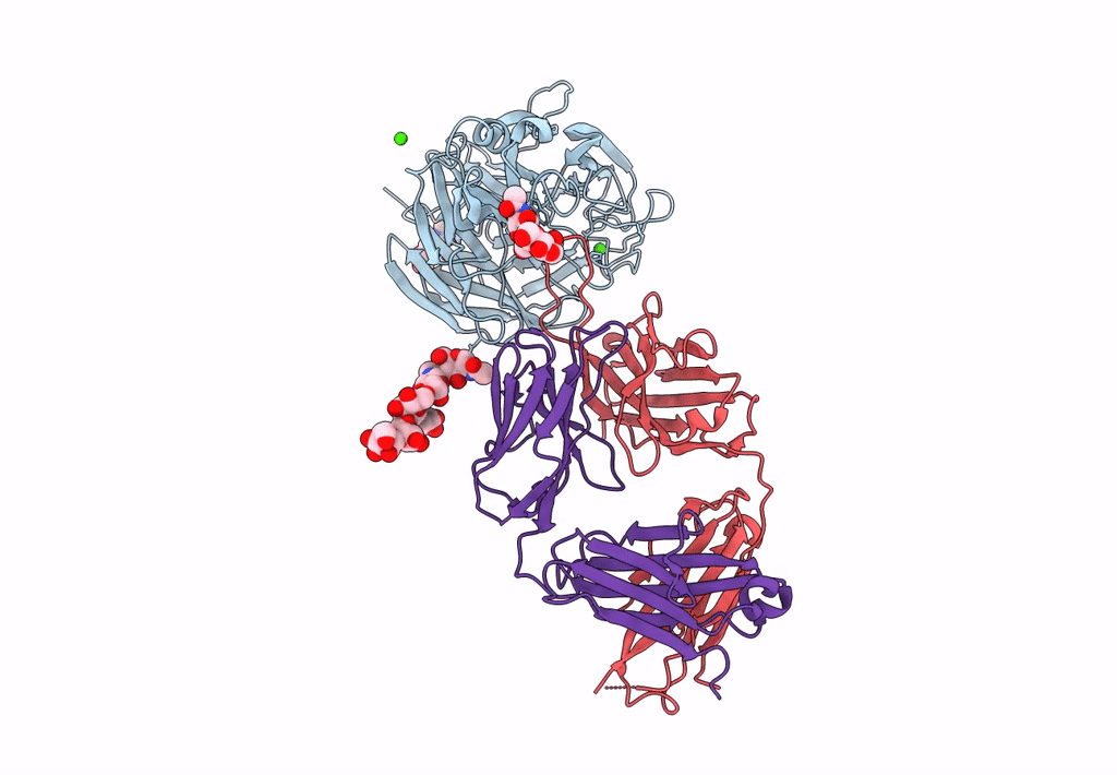 6Q20 image